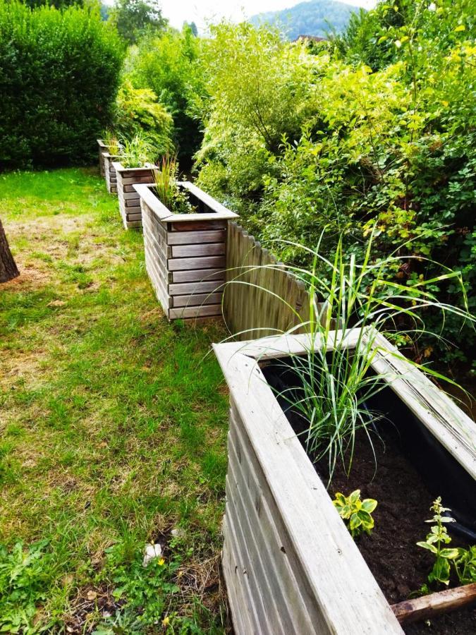 Haus Elsenbruch Apartman Bad Herrenalb Kültér fotó